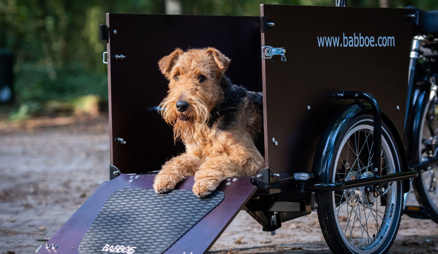 E Bike Lastenrad Fur Hunde