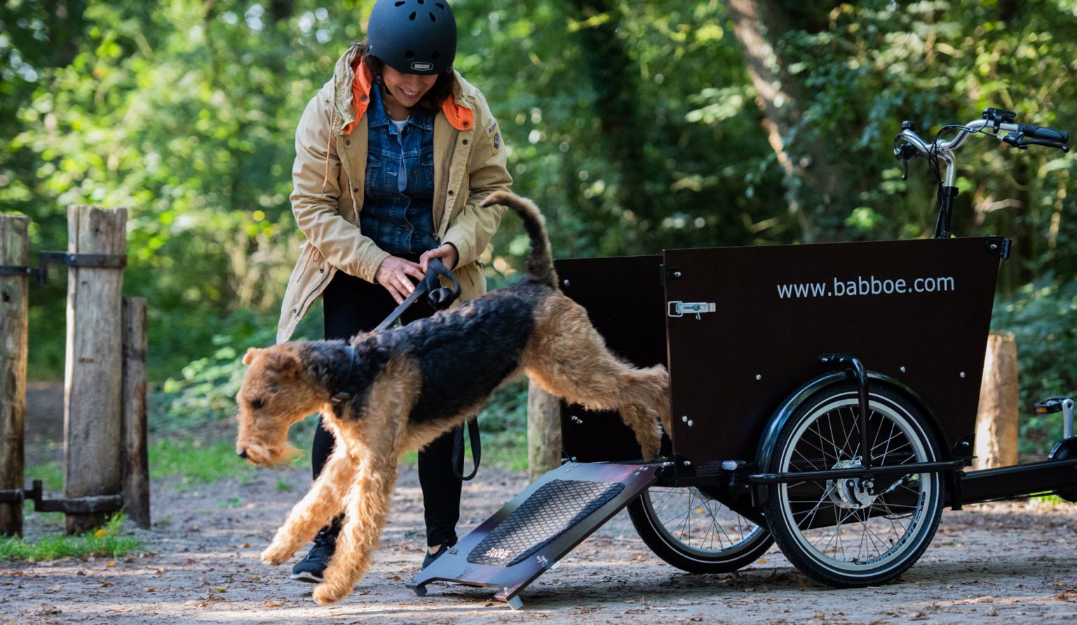 Dog E Lastenrad Kaufen Hunde Taxi Mit E Antrieb Lieferung M glich Dog E Lastenrad Kaufen Hunde Taxi Mit E Antrieb Lieferung M glich