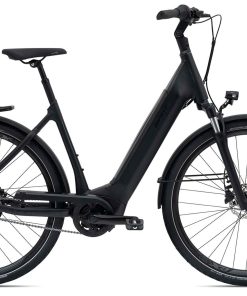 E-City Bike - GIANT DailyTour E+2 mit Rücktritt - 500 Wh