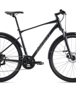 Cross Bike - GIANT Roam EX