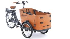 E-Lastenrad - Babboe Go E - für 1 Hund