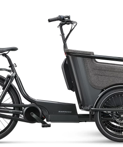 Batavus Fier - Dreirädriges Lasten-Rad für 2 Kinder