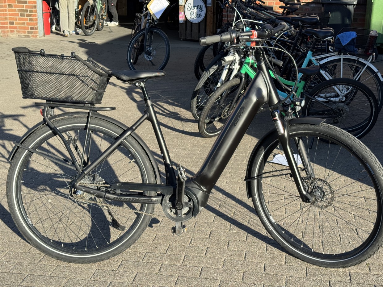 E-City - GIANT DailyTour E+ 2 mit Rücktritt - LDS - 500Wh - Größe M - 1980 km - 1 Jahre Garantie - E9HE13919 – Bild 11