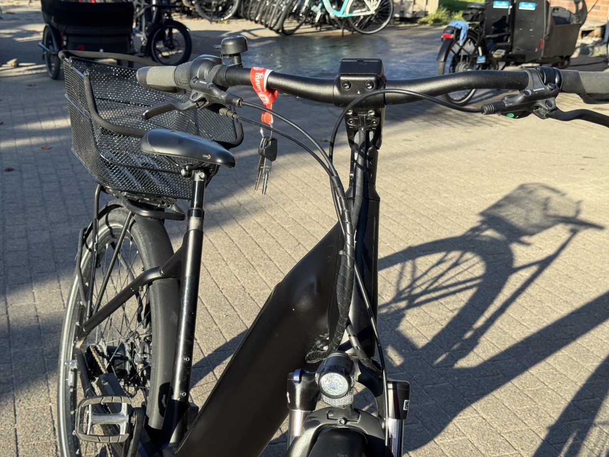 E-City - GIANT DailyTour E+ 2 mit Rücktritt - LDS - 500Wh - Größe M - 1980 km - 1 Jahre Garantie - E9HE13919 – Bild 12