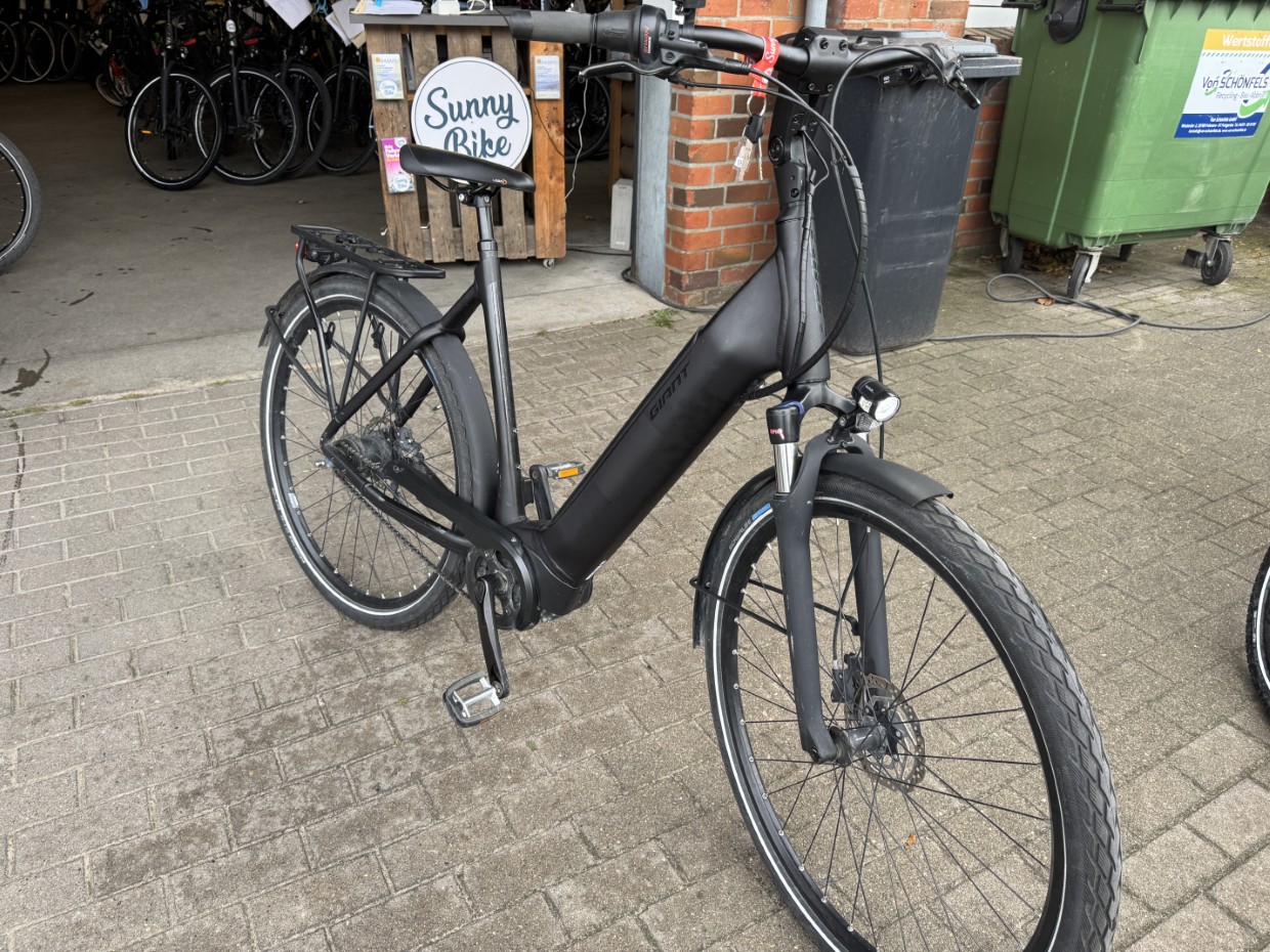 E-City - GIANT DailyTour E+ 2 mit Rücktritt - LDS - 500Wh - Größe L - 2479 km - 1 Jahre Garantie - ECHE00210 – Bild 13