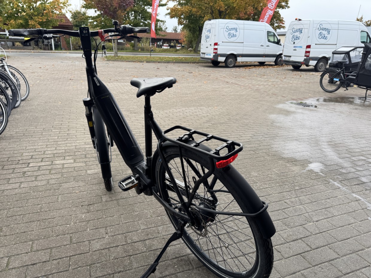 E-City - GIANT DailyTour E+ 2 mit Rücktritt - LDS - 500Wh - Größe L - 2479 km - 1 Jahre Garantie - ECHE00210 – Bild 11