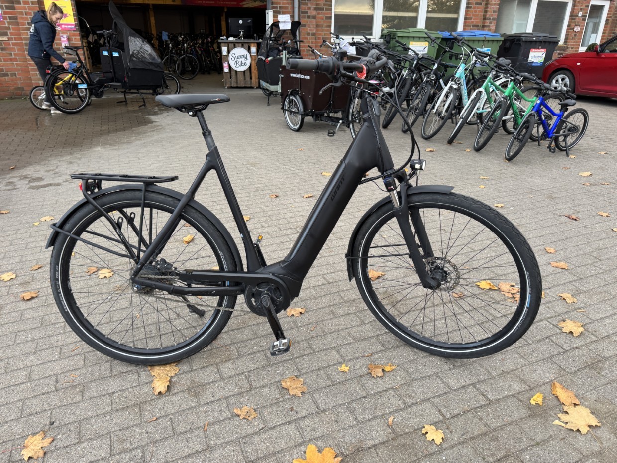 E-City - GIANT DailyTour E+ 2 mit Rücktritt - LDS - 500Wh - Größe XL - inkl. Versand - 1 Jahr Garantie - 1987 km - E1JE00528 – Bild 10