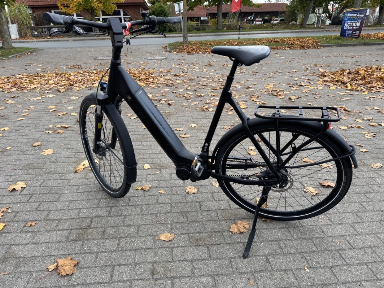 E-City - GIANT DailyTour E+ 2 mit Rücktritt - LDS - 500Wh - Größe XL - inkl. Versand - 1 Jahr Garantie - 1987 km - E1JE00528 – Bild 11