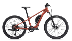 E-MTB - GIANT Talon E+ Jr. - Größe 24 Zoll - 250 Wh - inkl. Versand - NEU - 2 Jahre Garantie