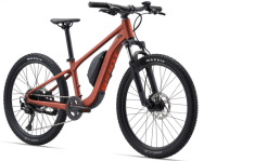 Alternative view of E-MTB - GIANT Talon E+ Jr. - Größe 24 Zoll - 250 Wh - inkl. Versand - NEU - 2 Jahre Garantie