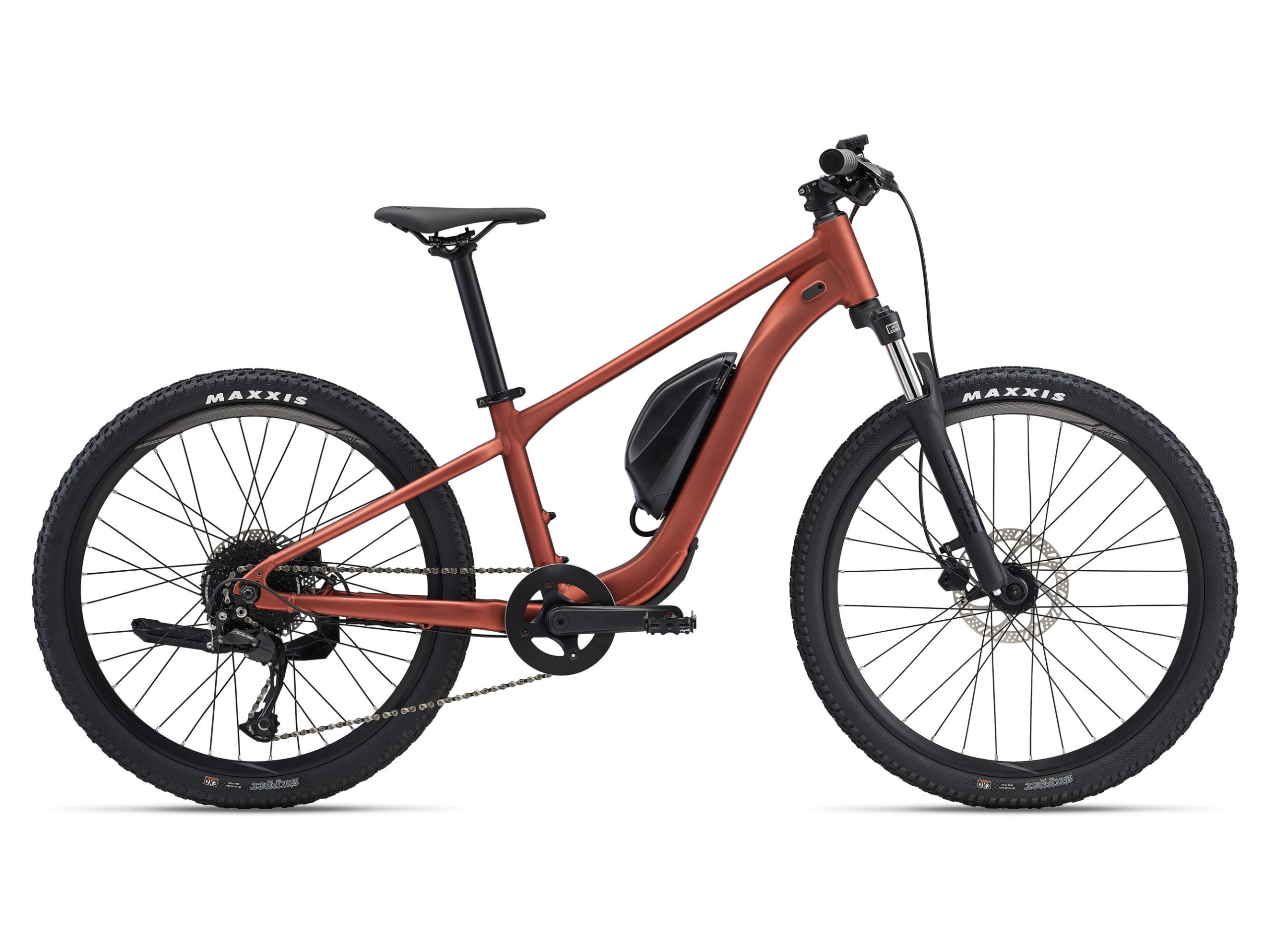 E-MTB Kinder - GIANT Talon Jr. - 250 Wh