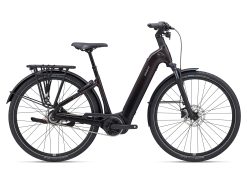 E-City Bike - GIANT Any Tour E+ mit Rücktritt - 625 Wh
