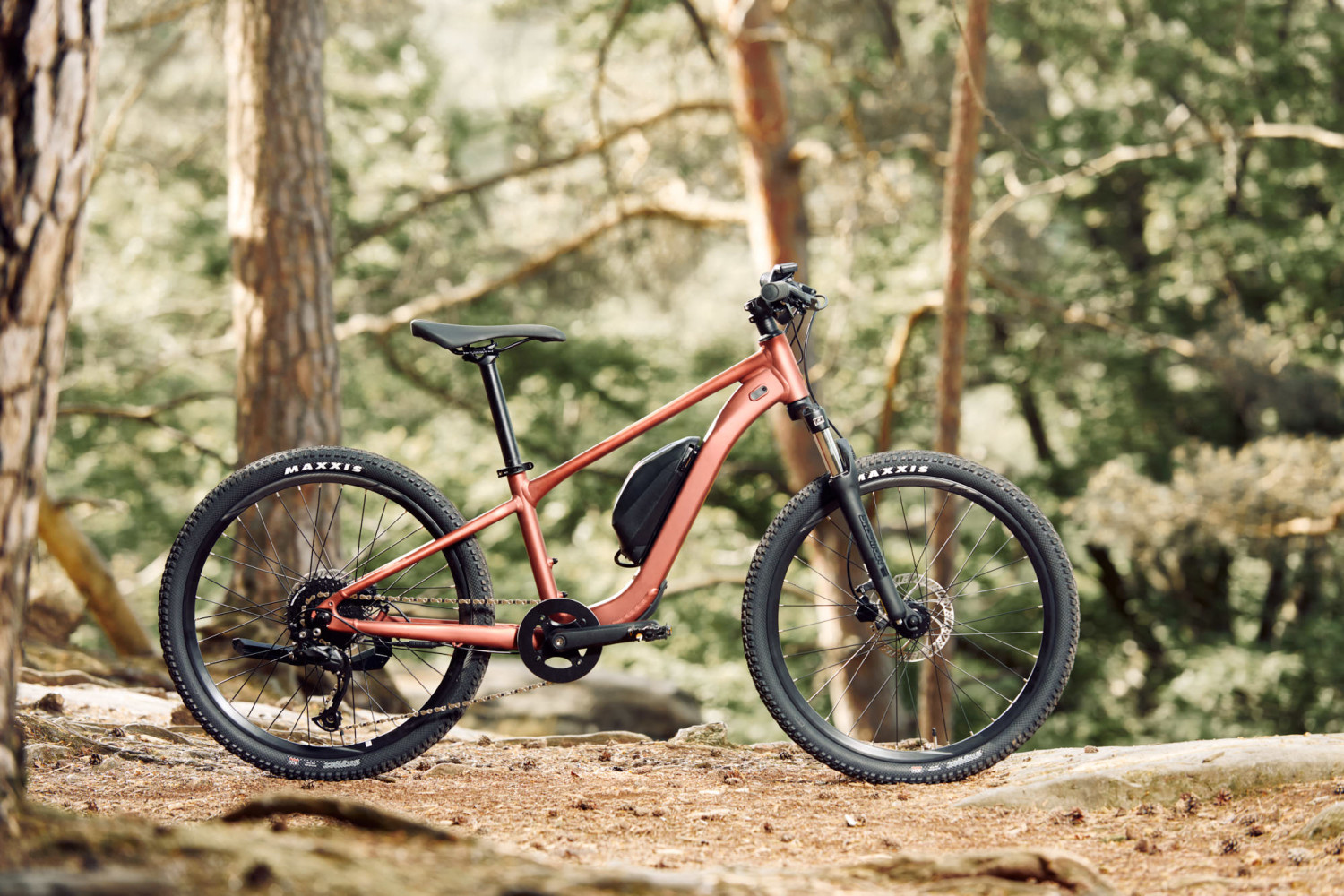 E-MTB Kinder - GIANT Talon Jr. - 250 Wh – Bild 4