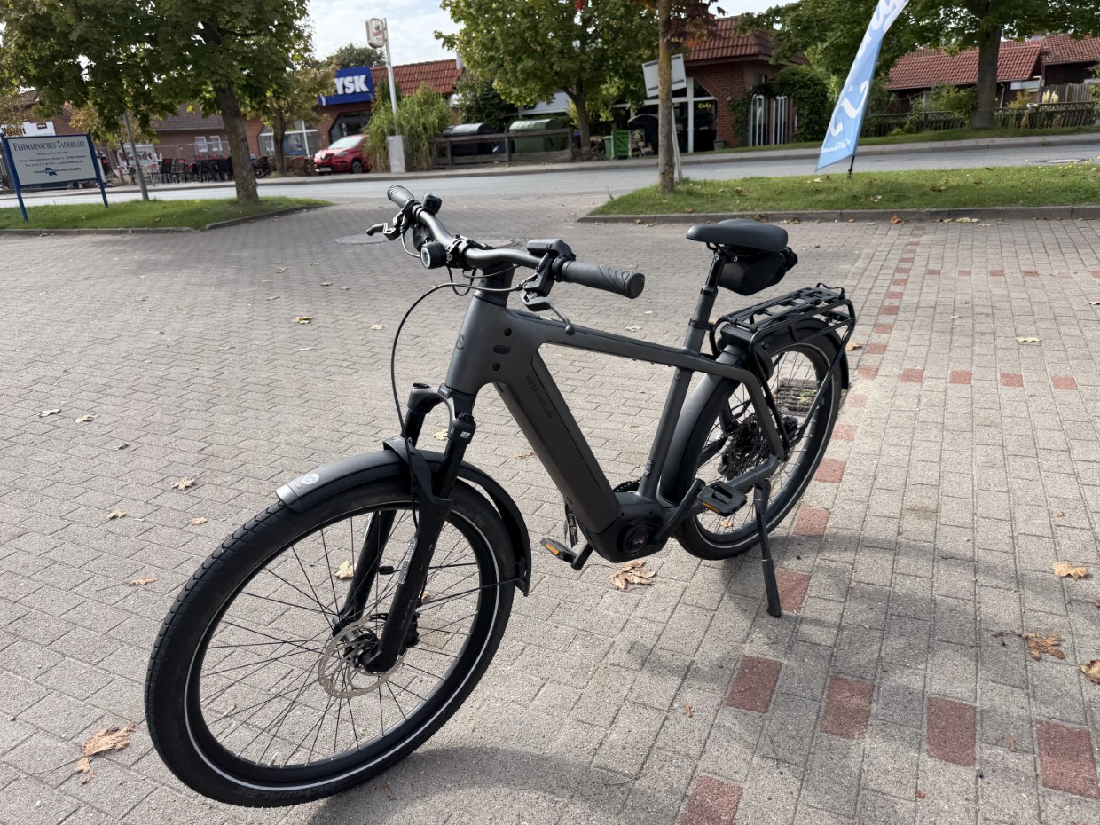 E-Tourer - Riese & Müller Charger5 Touring CORE - 600 Wh – Größe L (53cm) – 1 Jahr Garantie - 1428 km - WRJ2CH5X1SD410125 – Bild 4