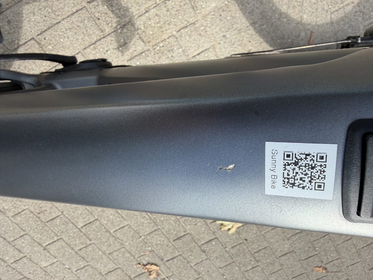 E-Tourer - Riese & Müller Charger5 Touring CORE - 600 Wh – Größe L (53cm) – 1 Jahr Garantie - 1428 km - WRJ2CH5X1SD410125 – Bild 10