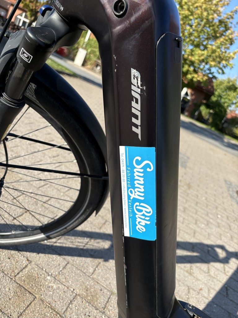 E-City - GIANT AnyTour E+ 4 RT - LDS - 625Wh - Größe M - 3252 km - 1 Jahr Garantie - inkl. Lieferung – G4KA00775 – Bild 7
