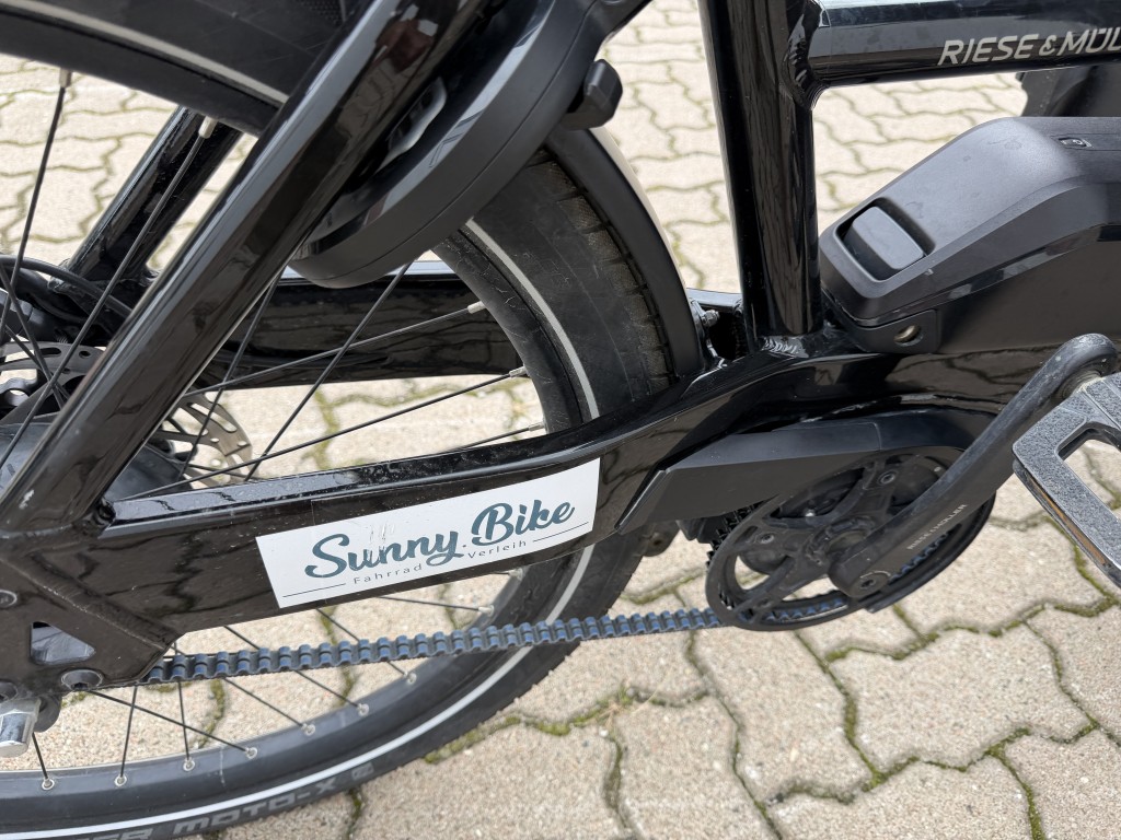 E-Lastenrad - Riese & Müller Transporter2 - 65 vario - 725 Wh - 1 Jahr Garantie - 1328 km - WR22TR1M3ND202824 – Bild 5
