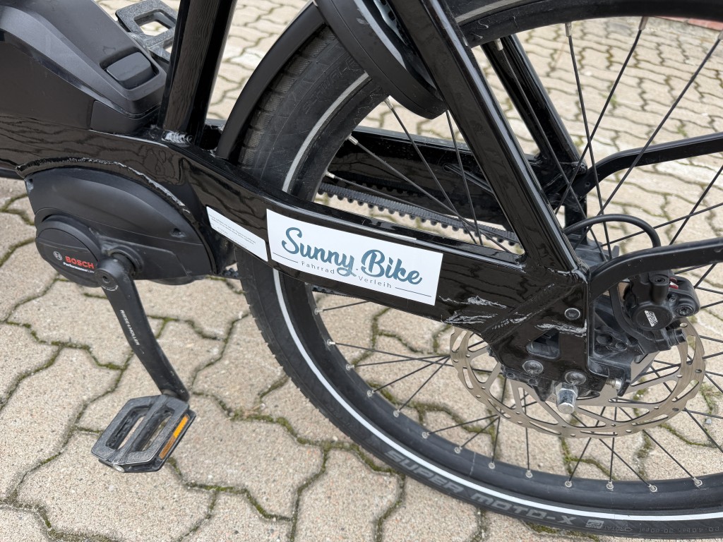 E-Lastenrad - Riese & Müller Transporter2 - 65 vario - 725 Wh - 1 Jahr Garantie - 1328 km - WR22TR1M3ND202824 – Bild 4