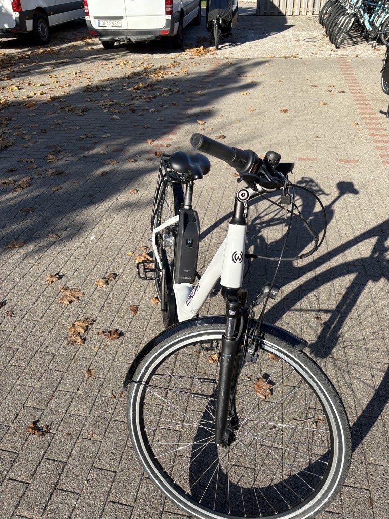 E-City-Bike - Winora CB150 - mit Rücktritt - 400 Wh - Größe S (46 cm) - 1 Jahr Garantie - inkl. Lieferung - 2118 km - AV16834 – Bild 10